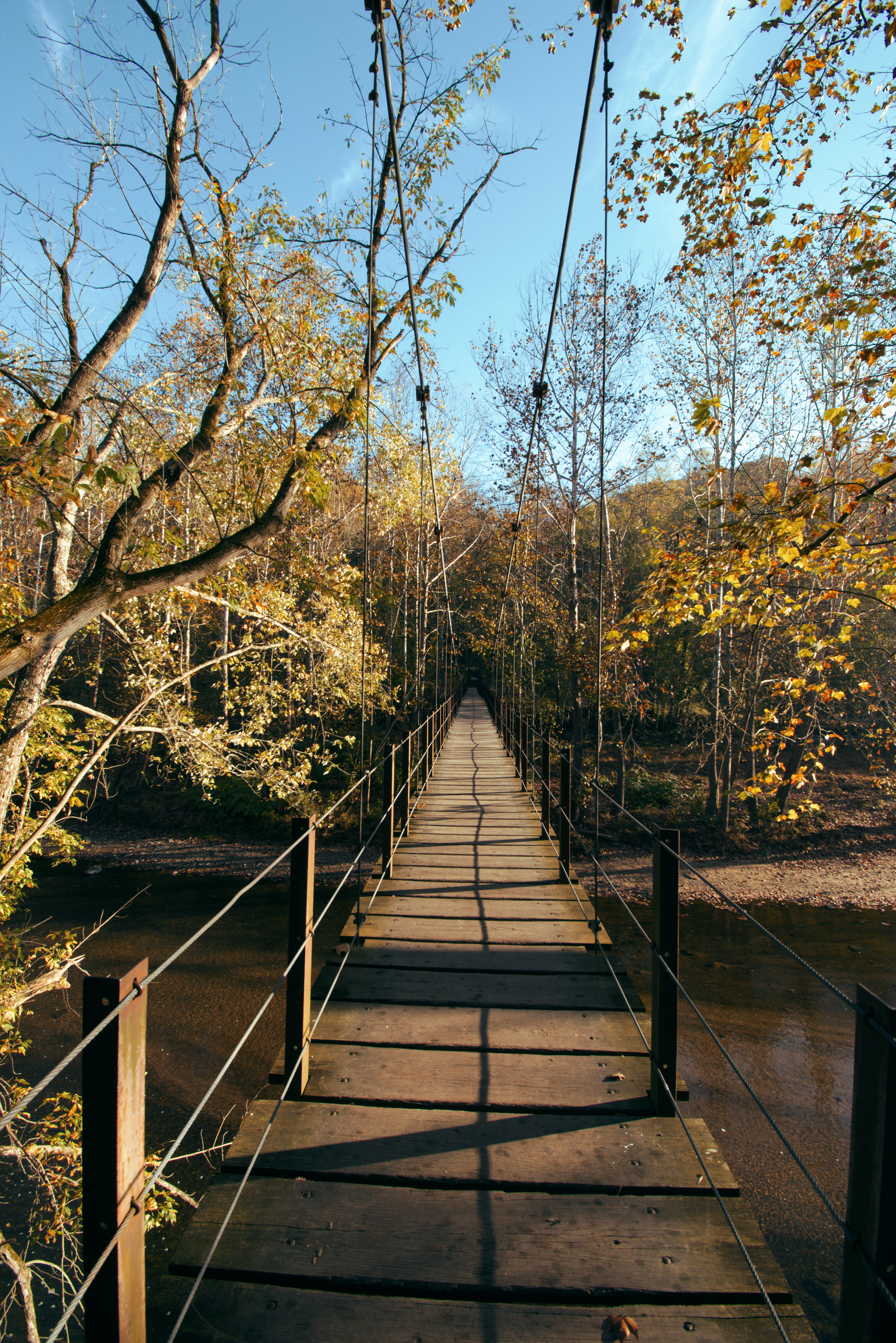 Patapsco Swinging Bridge